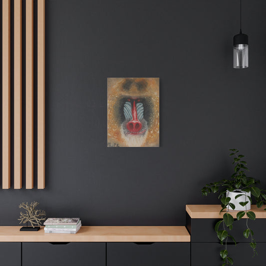 Space Mandrill